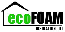 Eco Foam logo