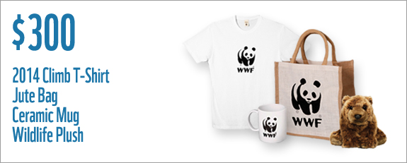 $300 gets you a 2014 t-shirt, jute bag, ceramic mug and a wildlife plush