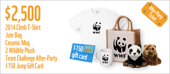 $2500 gets you a 2014 t-shirt, jute bag, ceramic mug, 2 wildlife plush, team challenge after-party and a $150 Jump gift card