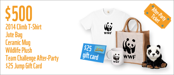 $500 gets you a 2014 t-shirt, jute bag, ceramic mug, wildlife plush, team challenge after-party and a $25 Jump gift card